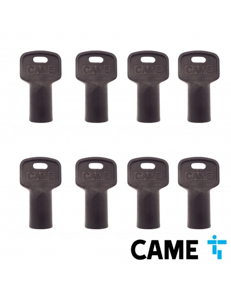 CAME 3-hranný univerzálny kľúč
