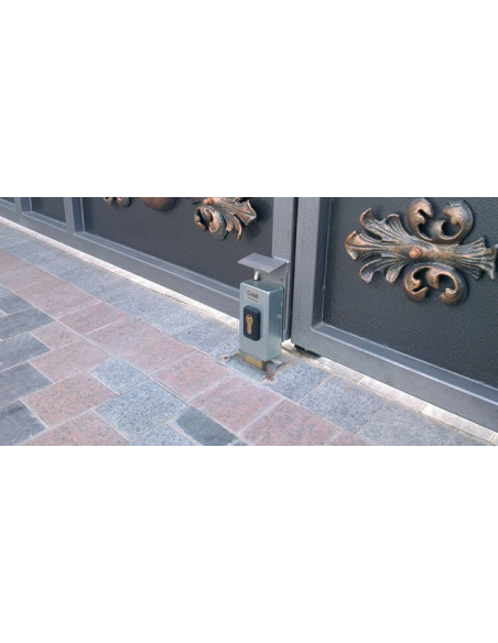 CAME Elektrický zámok krídlovej brány, jednostranný