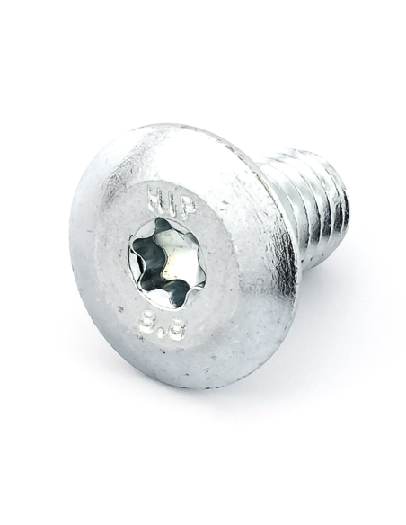 Hörmann plochá skrutka M8 × 13 mm, TORX