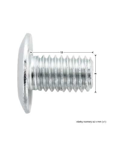 Hörmann plochá skrutka M8 × 13 mm, TORX