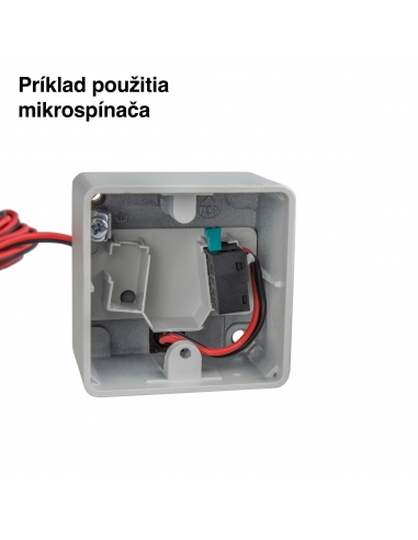 Hörmann mikrospínač pre kľúčový spínač MKT 1