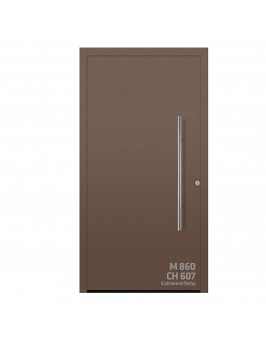 Dvere ThermoSafe motív 860 CH 607 