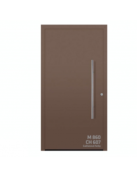 Dvere ThermoSafe motív 860 CH 607 