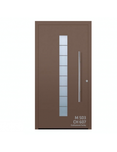 Dvere ThermoSafe motív 503 CH 607 