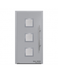 Dvere ISOPRO motív 810S RAL 9006